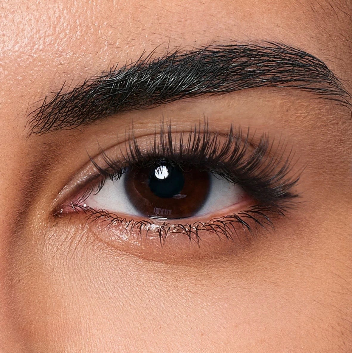 faux cils magnetiques Opulence